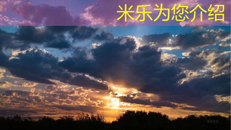 <strong>米乐m6官网登录入口：全塑型塑胶跑道加工</strong>