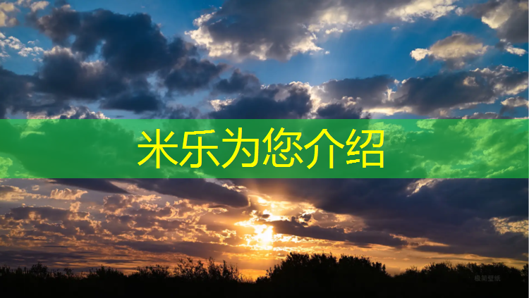 米乐：嘉定区专用塑胶跑道报价